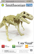 Load image into Gallery viewer, Smithsonian Dinosaur Fossils Trex Value Set