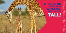Load image into Gallery viewer, Board Book Hello Baby Giraffe