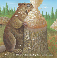 Load image into Gallery viewer, Who Will Plant a Tree - hardcover picture book