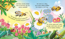 Load image into Gallery viewer, One Little Bee board book: Usborne