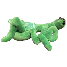Load image into Gallery viewer, Canned Praying Mantis - Bug Insect Plush Gift in Can w/Jokes: Pop Top Lid
