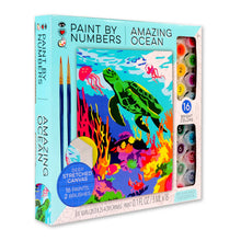 Load image into Gallery viewer, IHeartArt Paint By Numbers Amazing Ocean