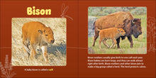 Load image into Gallery viewer, Board Book Prairie Mamas & Babies