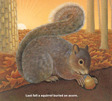 Load image into Gallery viewer, Who Will Plant a Tree - hardcover picture book