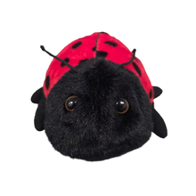 Load image into Gallery viewer, Canned Ladybug - Bug Insect Plush Gift in Can w/Jokes: Pop Top Lid