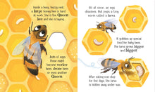 Load image into Gallery viewer, One Little Bee board book: Usborne