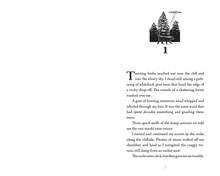 Load image into Gallery viewer, Bigfoot vs. Aliens (Hazyscapes #1)