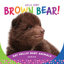 Load image into Gallery viewer, Board Book Hello Baby Brown Bear