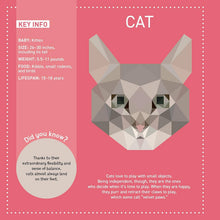 Load image into Gallery viewer, My Sticker Paintings: Pets - Children's Activity Book
