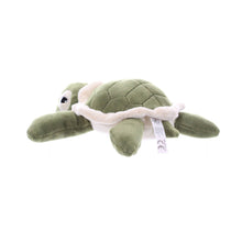 Load image into Gallery viewer, Hatchling Sea Turtle 9" (20cm)