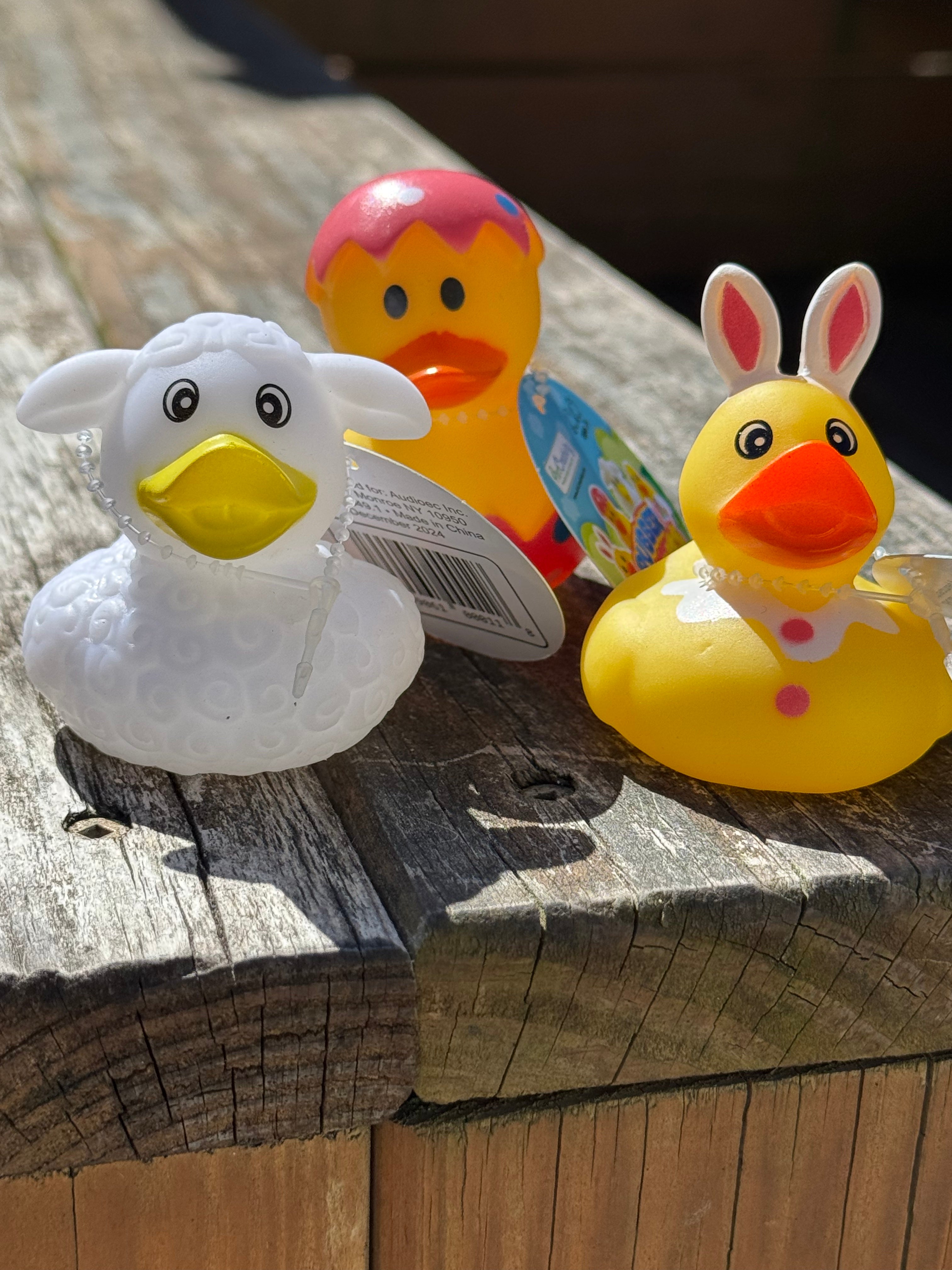 Assorted Easter Rubber Ducks – Sock Monkey LLC