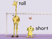 Load image into Gallery viewer, Board Book Jungle Gym