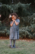 Load image into Gallery viewer, Navy Fields Scout Hunter Green Dress