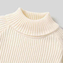 Load image into Gallery viewer, Sock Monkey Sweater