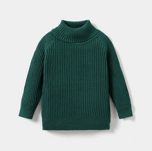 Load image into Gallery viewer, Sock Monkey Sweater