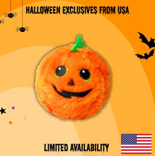 Load image into Gallery viewer, Ty Beanie Bouncers