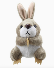 Load image into Gallery viewer, Finger Puppets