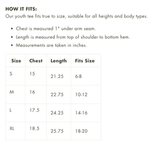 Load image into Gallery viewer, Give A Hoot, Don't Pollute Youth Short Sleeve Ringer Tee