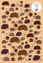 Load image into Gallery viewer, Find Me! Adventures in the Forest-Hidden Picture Activi (HC)