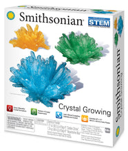 Load image into Gallery viewer, Smithsonian Crystal Growing
