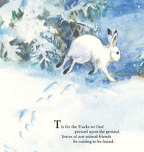 Load image into Gallery viewer, S is for S'mores: A Camping picture book