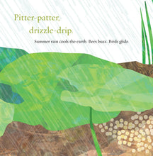 Load image into Gallery viewer, Light the Sky, Firefly! picture book