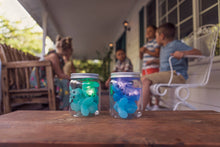 Load image into Gallery viewer, Toysmith Chasing Fireflies Kids Game