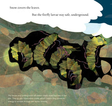 Load image into Gallery viewer, Light the Sky, Firefly! picture book