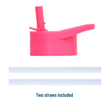 Load image into Gallery viewer, Strawberry Patch 14 oz Steel Bottle