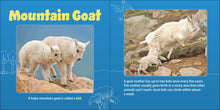 Load image into Gallery viewer, Board Book Mountain Mamas & Babies