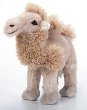 Load image into Gallery viewer, 12" (33cm) Wild Onez Bactrian Camel