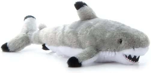 Petting Zoo Shark