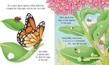 Load image into Gallery viewer, One Little Butterfly board book : Usborne
