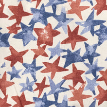 Load image into Gallery viewer, Burt's Bees American Stars Tunic &amp; Shorts Set
