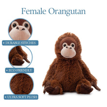 Load image into Gallery viewer, 12&quot; Wild Onez Orangutan (Female
