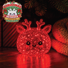 Load image into Gallery viewer, Fun Doh Christmas Mystery Dumplings
