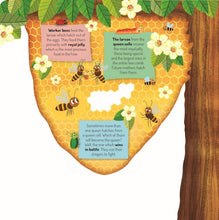 Load image into Gallery viewer, Discovering the Busy World of the Beehive-Kid's Picture Book
