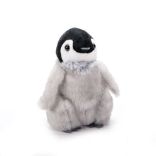 Load image into Gallery viewer, Zoology 6" Penquin Chick
