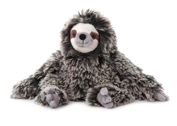 Petting Zoo Sloth