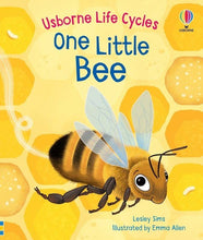 Load image into Gallery viewer, One Little Bee board book: Usborne
