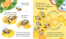 Load image into Gallery viewer, One Little Bee board book: Usborne
