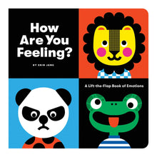 Load image into Gallery viewer, How Are You Feeling Board Book
