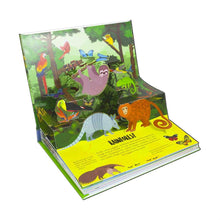 Load image into Gallery viewer, Nature Pop-Up! FORESTS - 8 Pop-Up Forest Scenes

