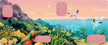 Load image into Gallery viewer, Exploring the Amazing World of the Coast -Layered Board Book
