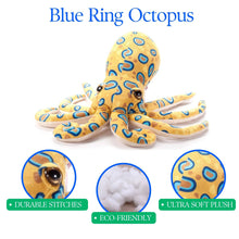 Load image into Gallery viewer, The Petting Zoo 14" (35cm) Blue Ring Octopus
