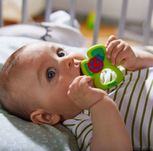 Load image into Gallery viewer, Haba Shamrock Silicone Teether
