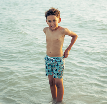 Load image into Gallery viewer, Emerson Pirates Life Swim Trunks
