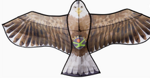 Load image into Gallery viewer, Terra Kids Hawk Kite
