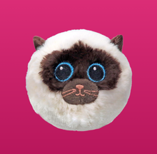 Load image into Gallery viewer, Ty Beanie Bouncers

