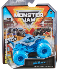 Load image into Gallery viewer, Monster Jam Die Cast Monster Truck
